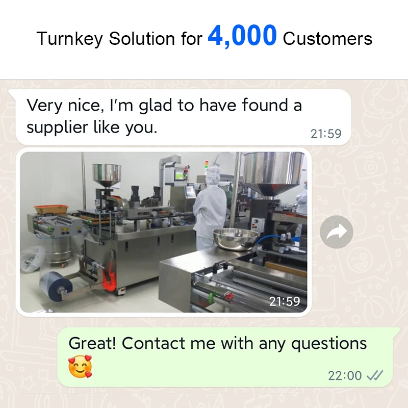 DPP-260R Pharmaceutical Pill Tablet Capsule Package Sealing Automatic Pharmacy Blister Packing Machine