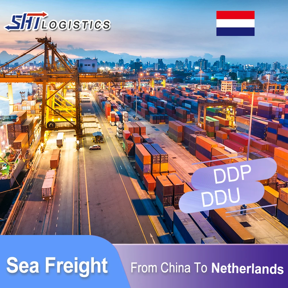 China Forwarding Agent FCL Sea Shipping Shenzhen To Dallas Fulfillment Center Logistics