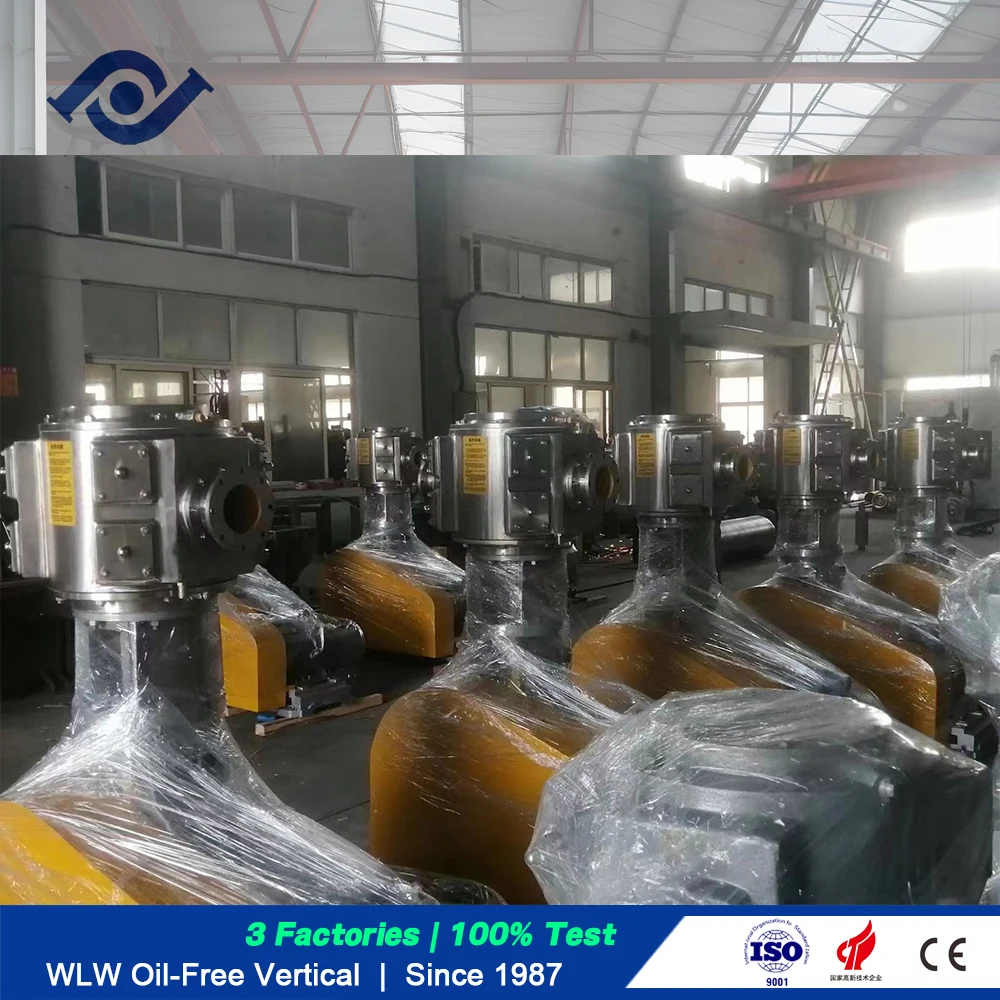 BOYUAN Manufacturer WLW Series WLW-50 High Pressure Oil Free Vertical Reciprocating Piston Vacuum Pump Electric Pumping