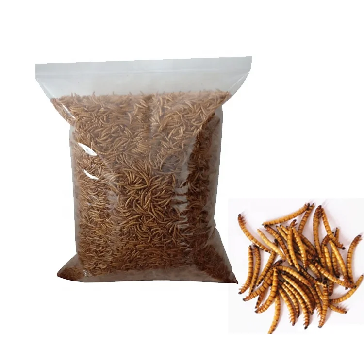 Dried Mealworms animal feed chicken food/feed