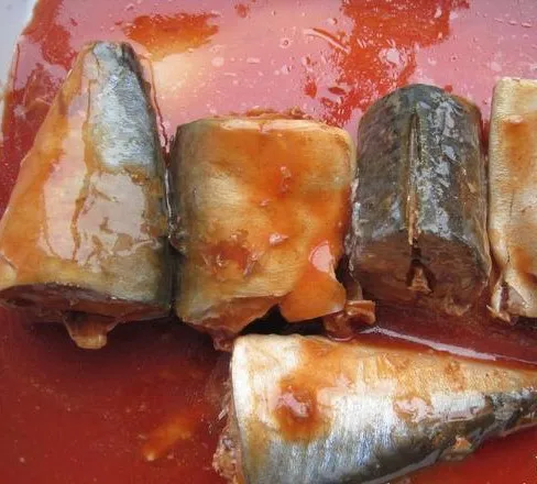 Factory  price canned fish healthy foods canned Mackerel in Tomato Sacue