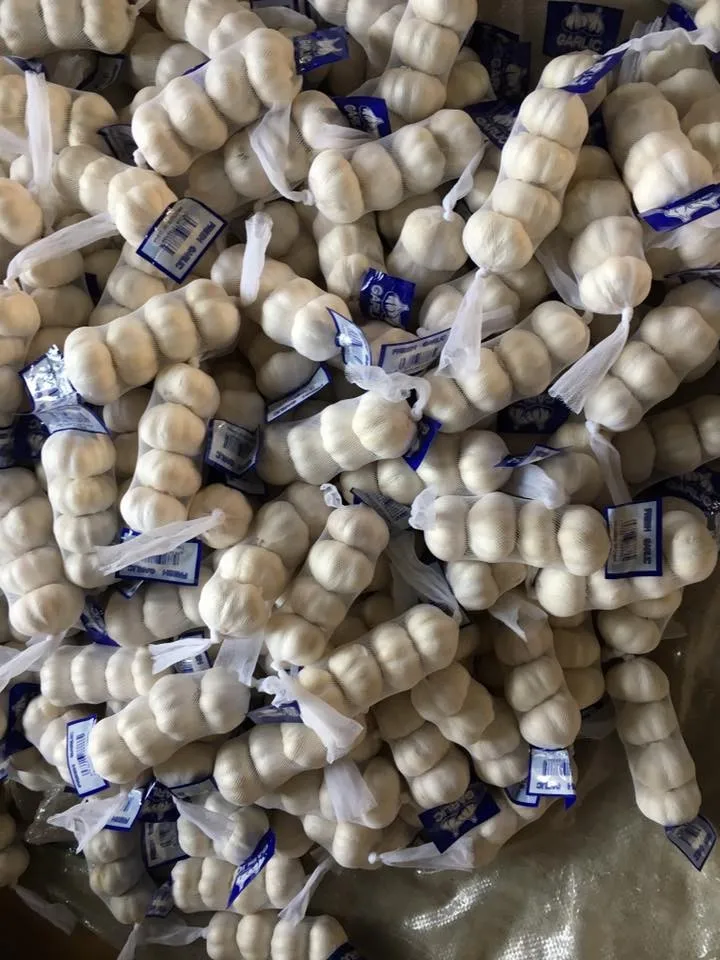 
garlic price 2021 
