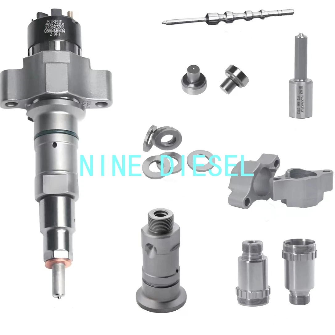 Common Rail Injector 4307452 Repair Kit Diesel Fuel Injector 4307452 Spare Parts
