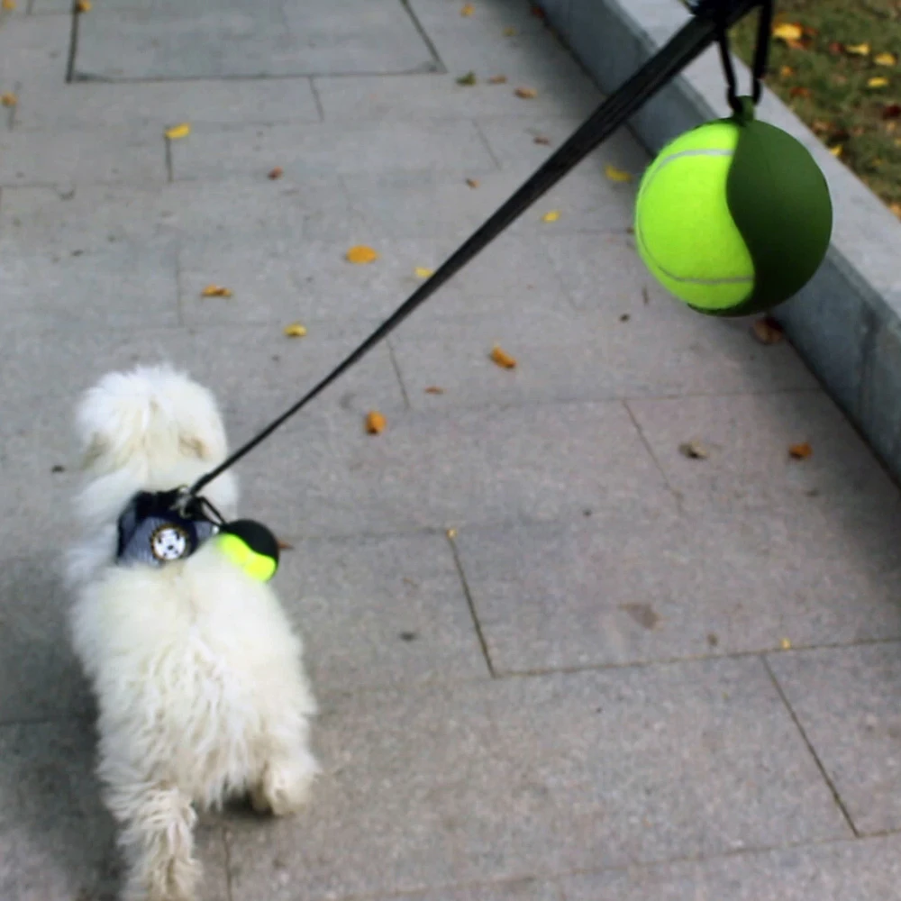 novelties 2024 Hands-Free Silicone Pet Ball Cover Holder with Dog Leash Attachment Fit for Standard Tennis Balls Pet Supplies