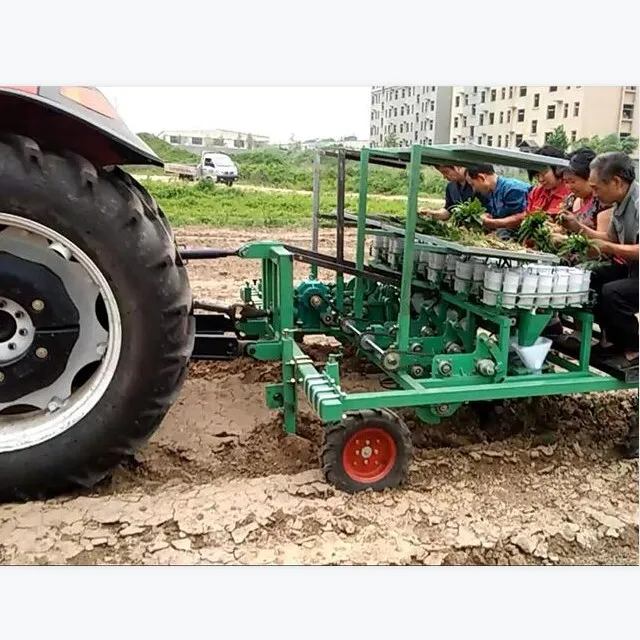 crawler watermelon seedling planter three rows lettuce licorice transplanter large amount of adjustable transplanting machine