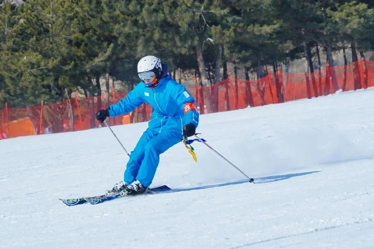 Wholesale price  imported   snowboard  alpine   mountain skis and snowboard