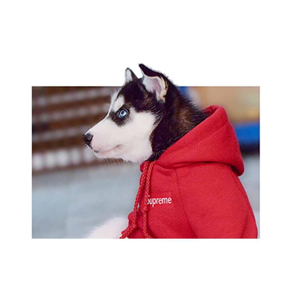 Wholesale Factory Multifunctional Peru Addidog Dog Clothes, China Supplier Plaid Pull Party Dog Clothes