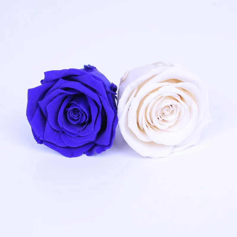 Профессиональный производитель вечных цветов и сушеных роз для свадебных центров