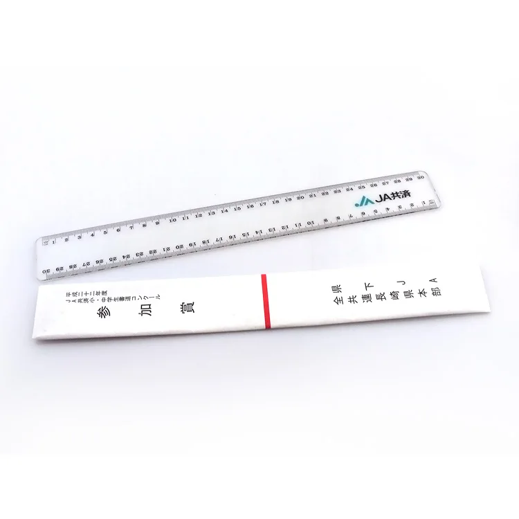 30cm custom PVC flexible ruler