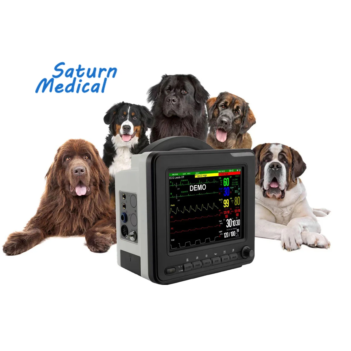 Manufacture price 8 12 15 inches cat dog animal pet vet veterinary portable multiparameter monitor for pet hospital clinic