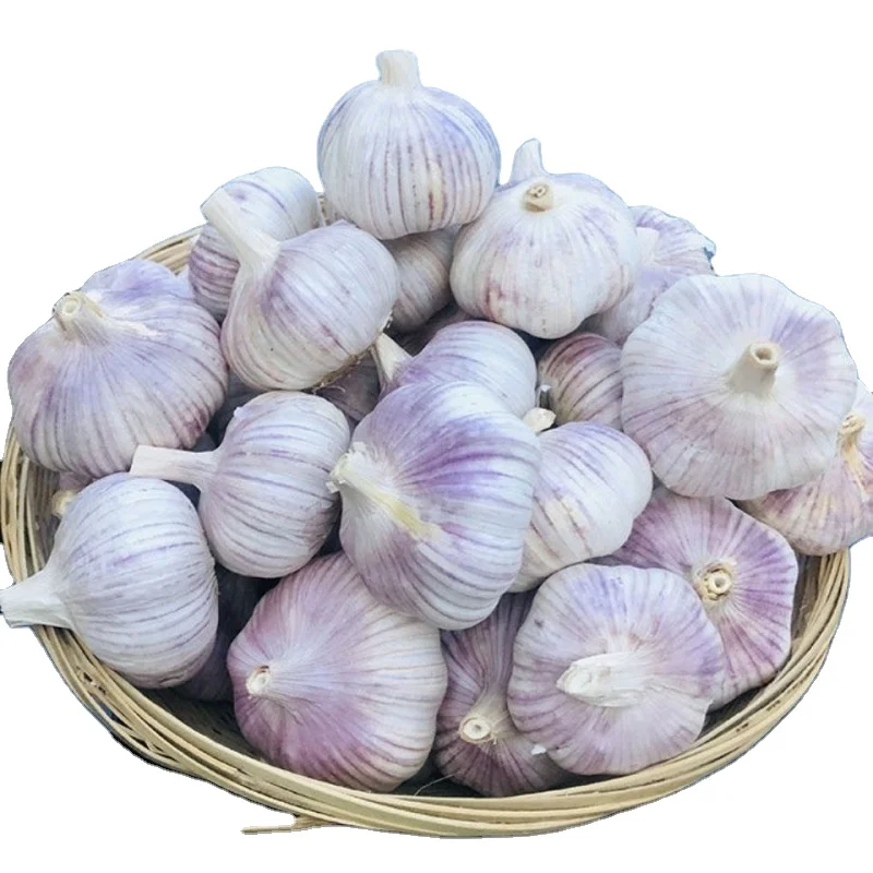 2024 Garlic Import Trade China Normal White Garlic Fresh Garlic for Sale