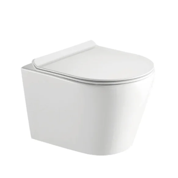 White and Custom Matte Colors Toilet Seat Duroplast Soft D Shape Easy to Clean Toilet Seats Modern