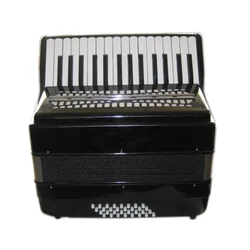 Дешевое студенческое пианино 30 клавиш 32 бас гармошка JP3032A