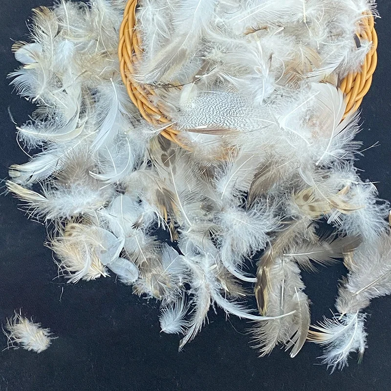 2024 Top Quality Clean Household Textile Fillers Machine Washed Grey Duck Feathers for Sale