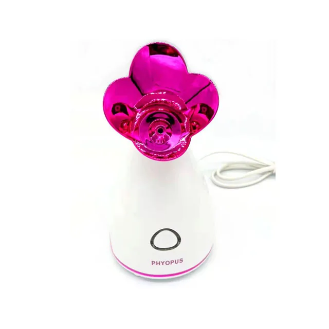 
15 minutes steaming time large water tank nano facial steamer 