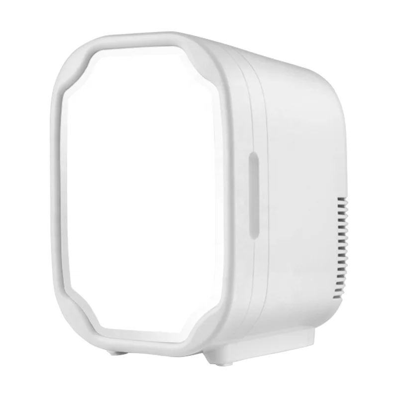 Portable Custom Home Use Mirror LED Light Cosmetic Makeup Skincare  Beauty Mini Fridge