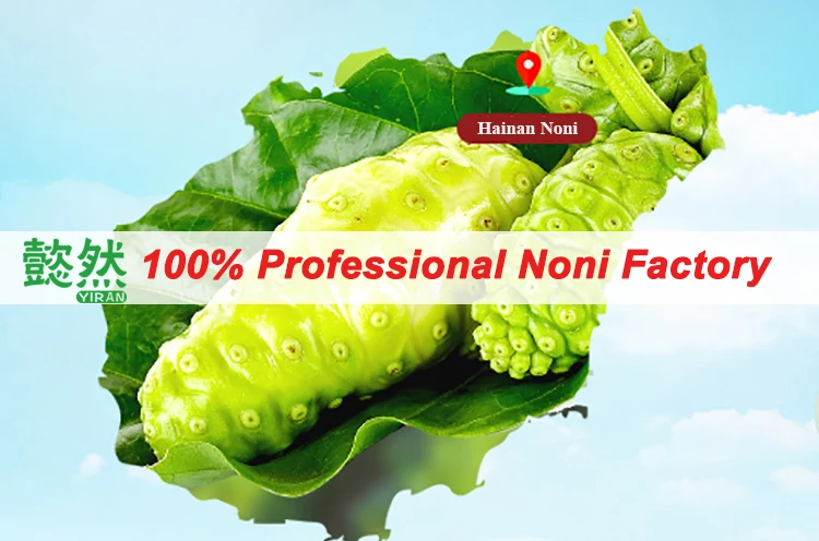 hainan noni