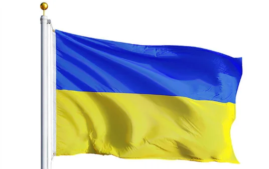 Оптовые Подгонянные различные страны и размеры по всему миру полиэфирное волокно национальные флаги для украшения