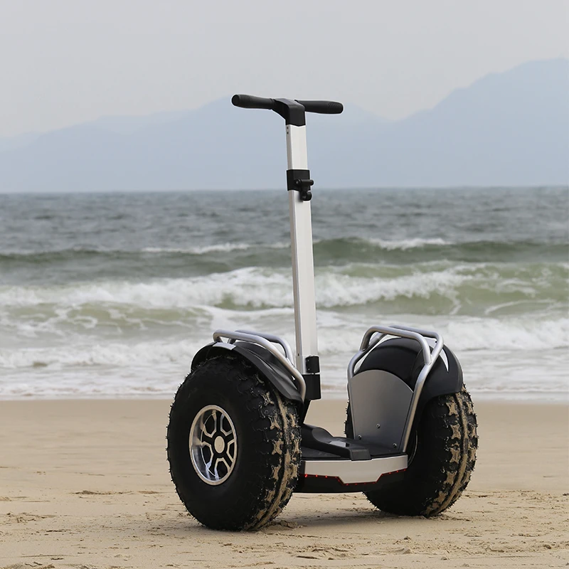 OEM 2 Wheels 20inch wheel Self Balancing Electric electric scooters powerful adult for sale 1500W*2dual motor
