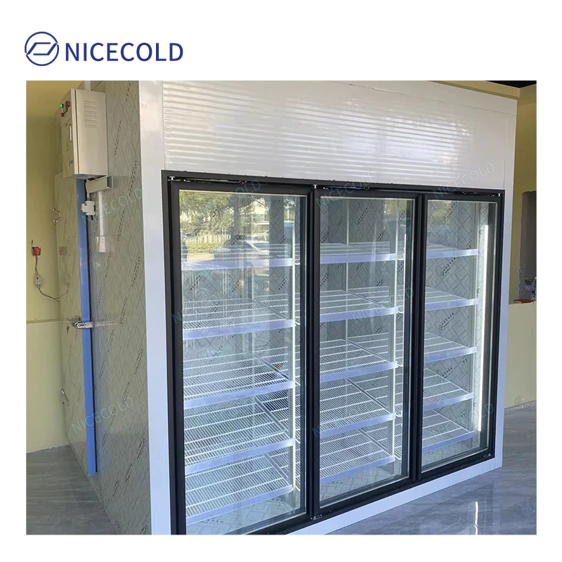 Custom Efficient Display Cold Room Glass Door Walk-In Cooler for Supermarkets
