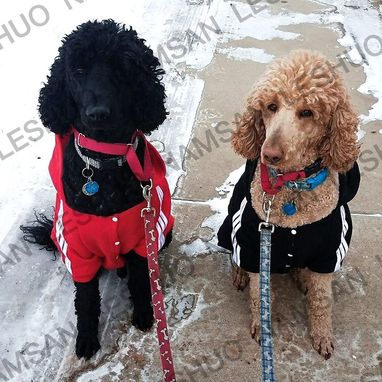 Pet Apparel Supplier Pure Sportswear Medium Large Dog Wholesale Costume Coat Pet Clothes