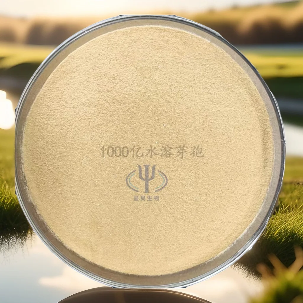 Reliable Quality Improve Immunity 2 Billion Bacillus Subtilis Feed Additives Shrimp