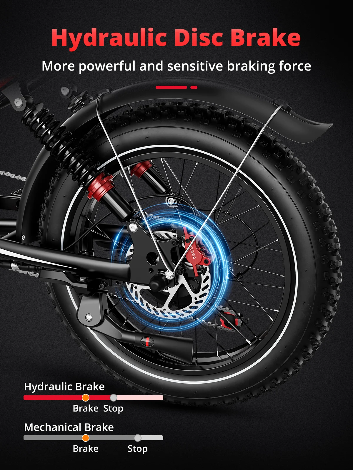 Long Range Electric Bicycle with Dual Single Rear Hub Motor 250W Popular Bike 2000W Bicycle Electric