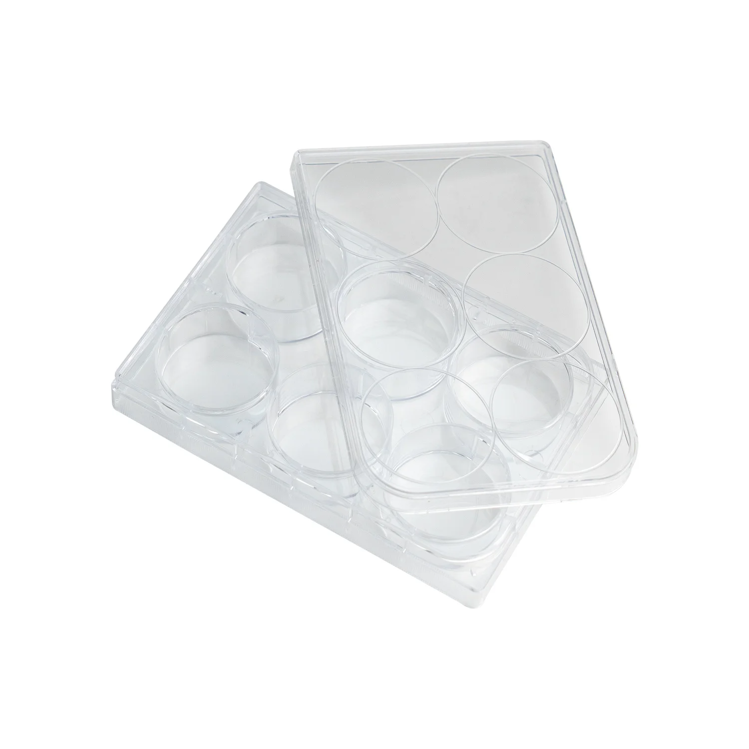 Laboratory lab sterile cell and tissue culture plate