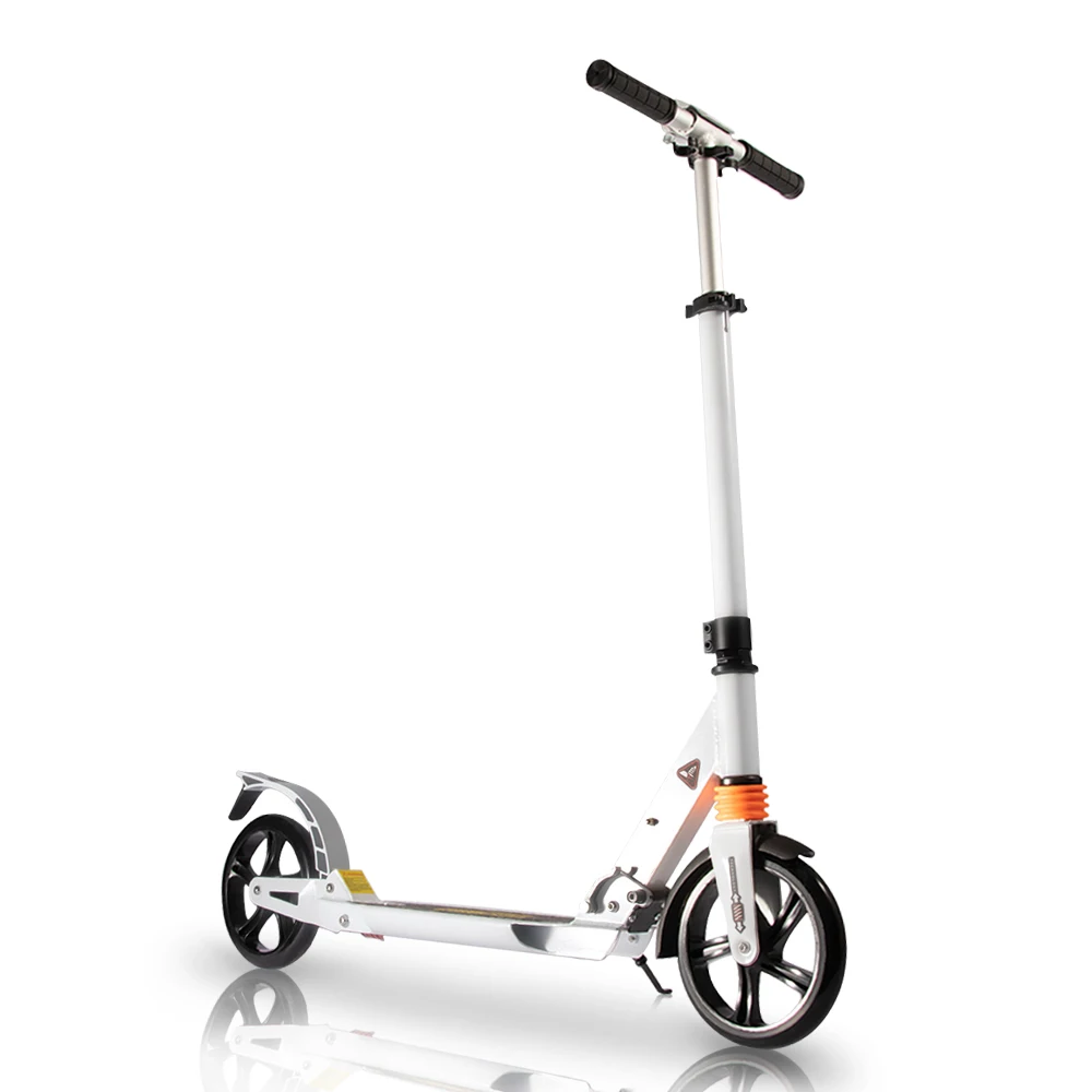 2021 New Design Flat-Plate Scooter Board with two Wheels scooter for