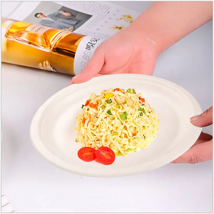 Wholesale Eco Friendly 100% Biodegradable Disposable Sugarcane Tableware Bagasse Color Dinner Plate