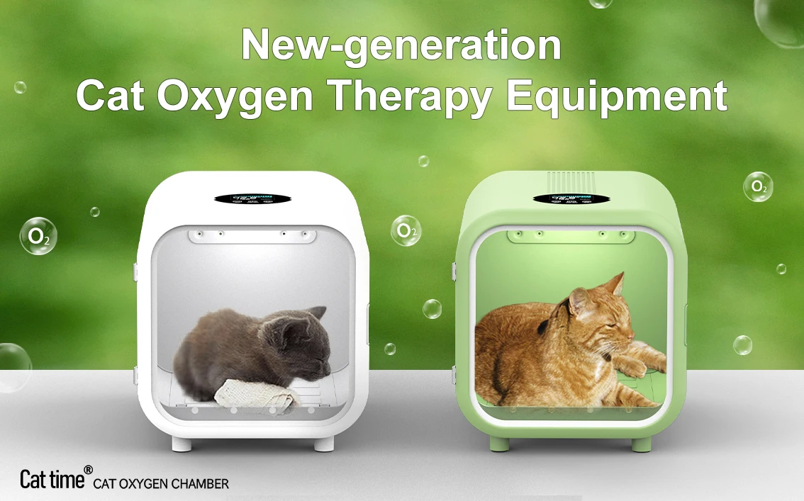 Pet Fully Automatic with Oxyge Cage Puppy Incubator for Newborn Puppies kitten incubator