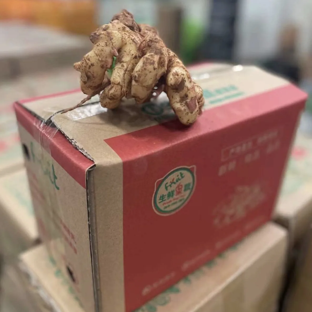 Wholesale Yunnan is digging small yellow ginger fresh from China/fresh ginger