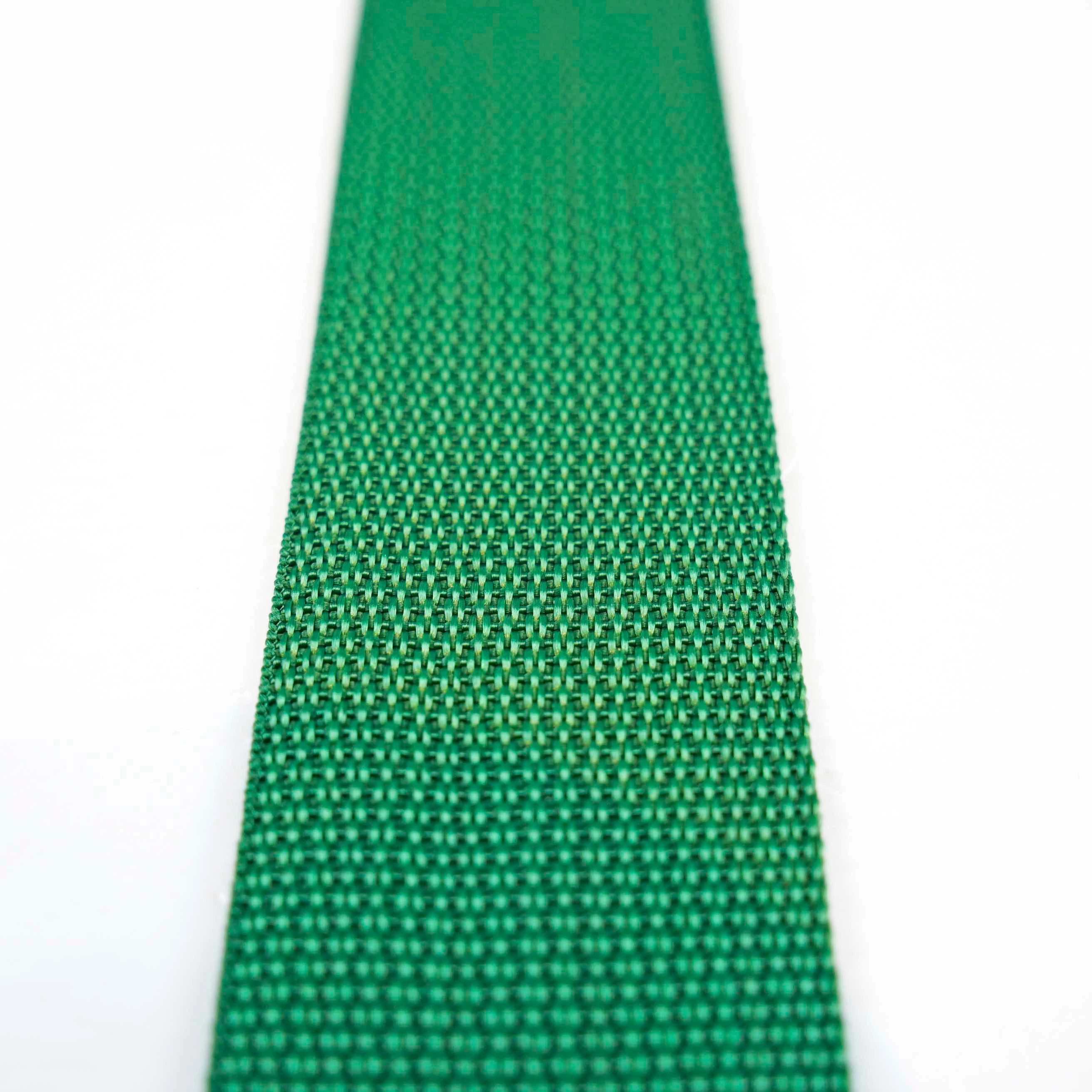 2021 Hot sales and ECO-Friendly Customized Green Plain PP webbing strap for Bag and Luggage