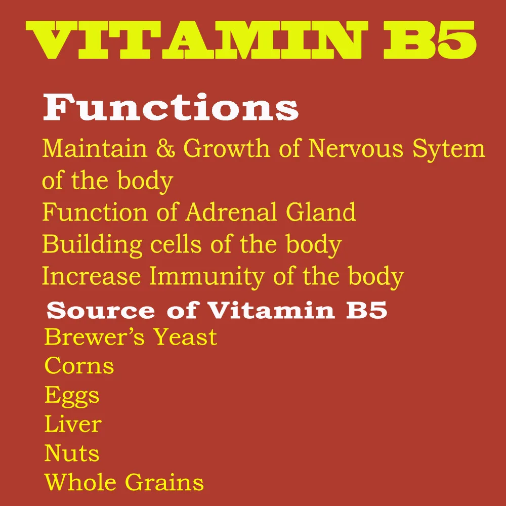 Calcium Pantothenate Vitamin B5  Fine Powder CAS No.: 137-08-6