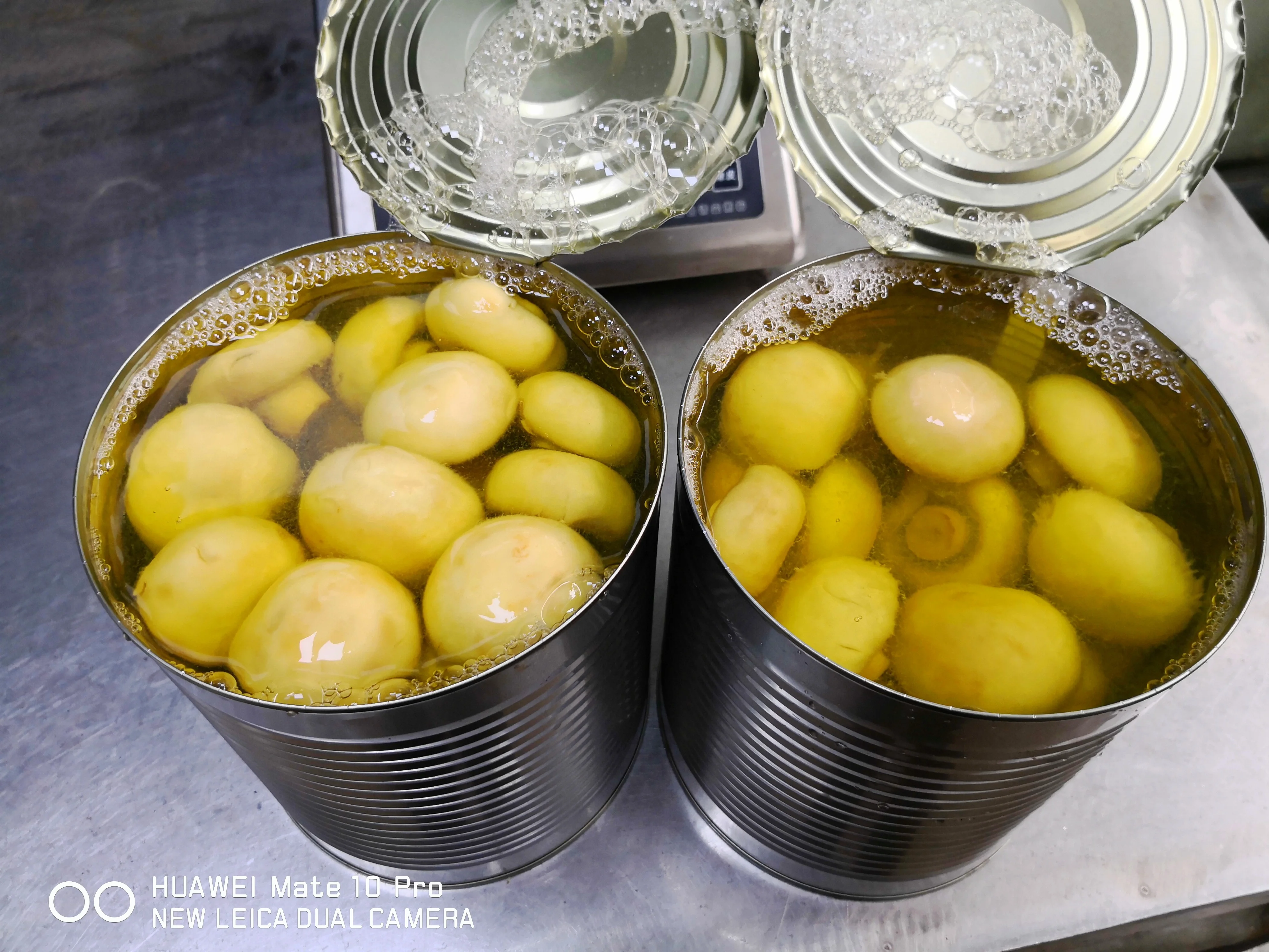 Canned Mushrooms whole