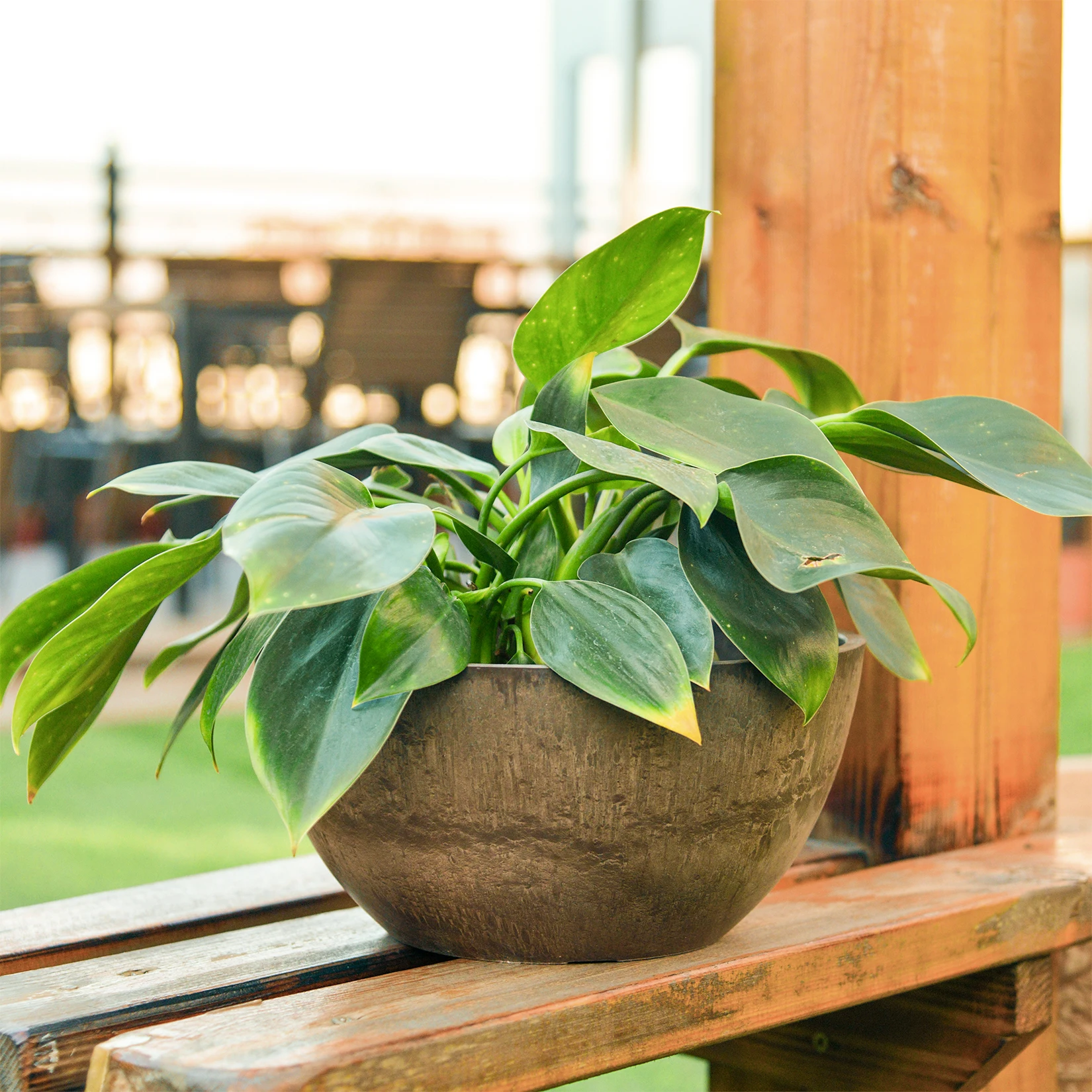 Natural stone pattern unbreakable Resin Flower Pot  Green Europe Style Time Lead Modern VASE Floor Garden Plant