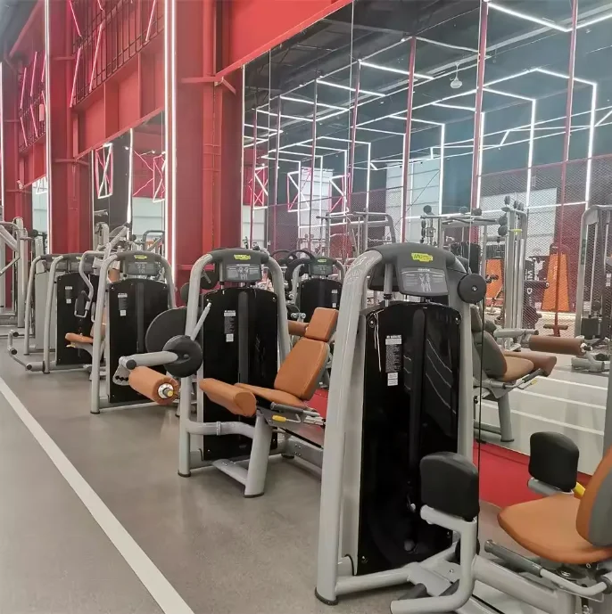 High Quality commerical Gym Equipment seated calf raise machine