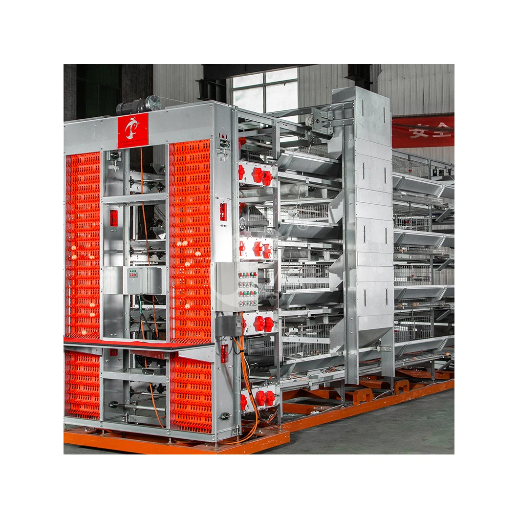 Layer Cage Fabricators China Ordinary Type Laying Coop Sample Available Large Laying Cages For Free Range Chickens