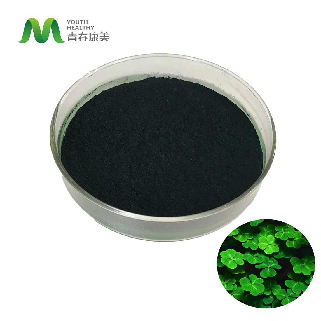 EU Organic Plant Extract Pure Bulk Chlorophyll Powder
