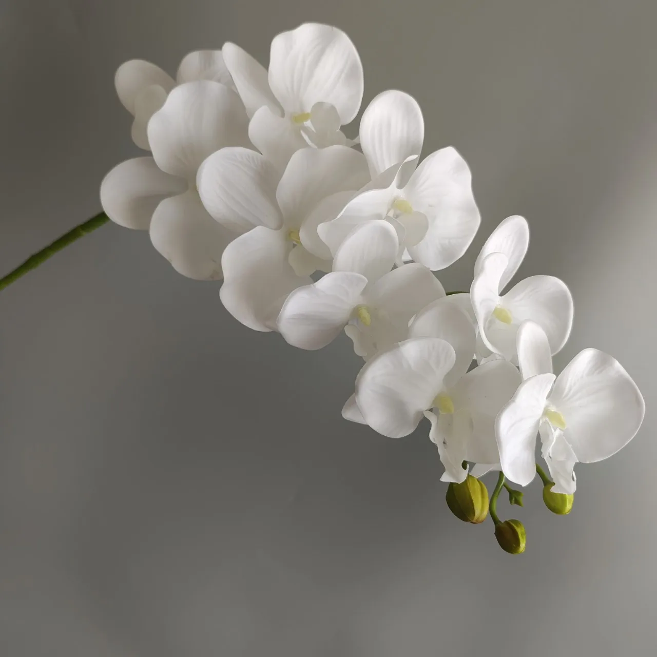 Real Touch Phalaenopsis Flowers   Ultra Realistic Fuchsia Artificial Orchids for DIY Centerpieces, Home  Event