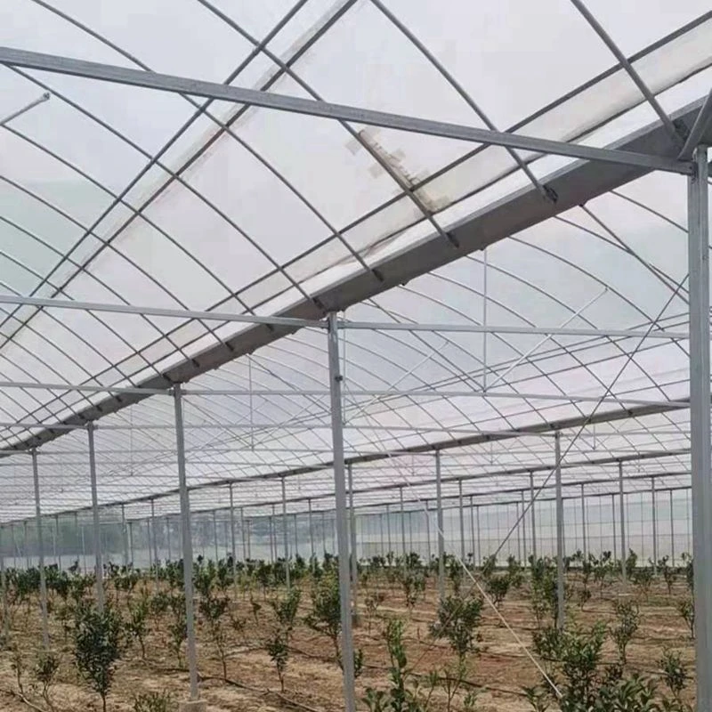 Hot Selling Easiest Installation Pest Control Morden Aluminium Greenhouse Frame Garden Greenhouses for Agricultural Greenhous