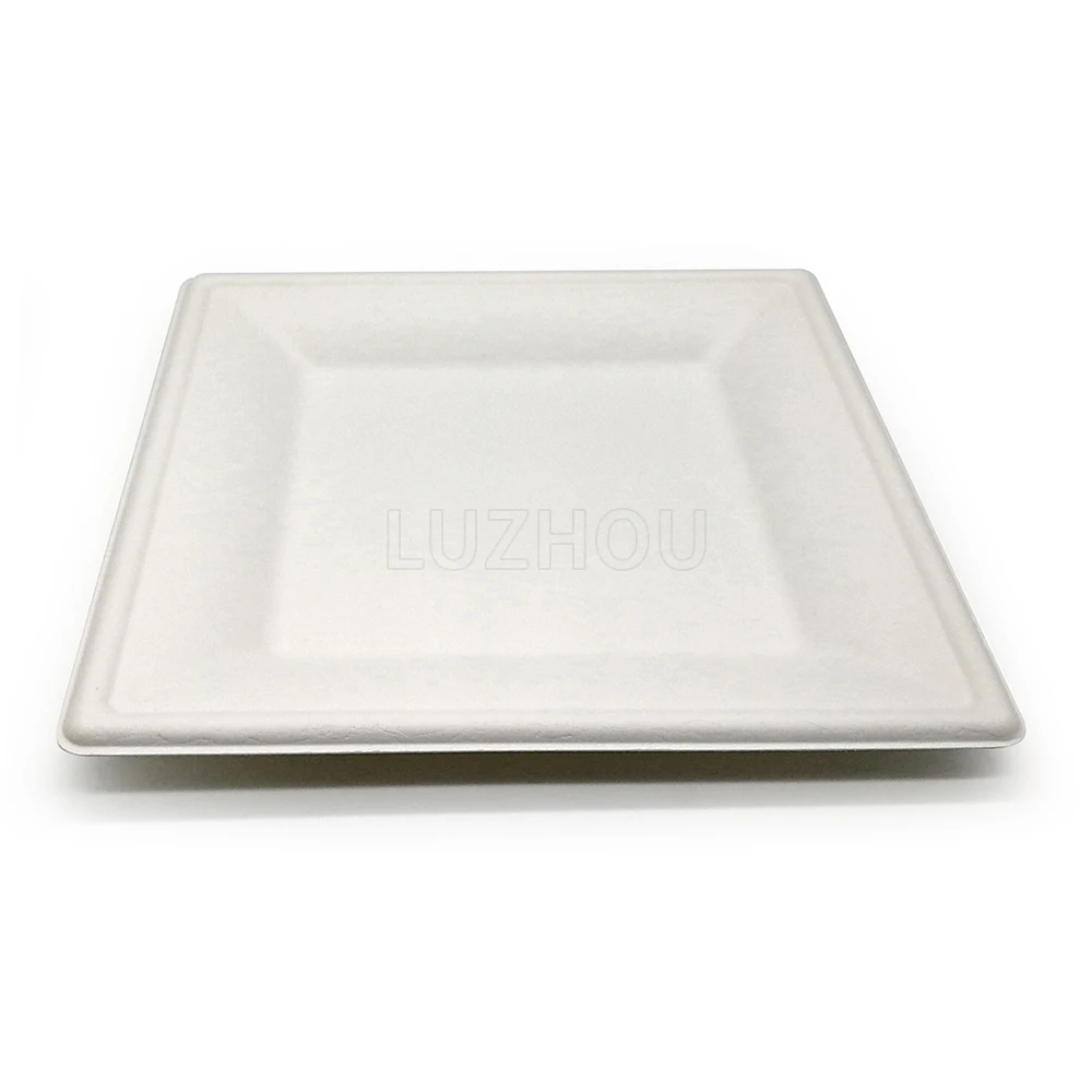 10 Inch Heavy Duty Heatable Eco Friendly Biodegradable Plates Bulk Disposable Plates Paper for Wedding