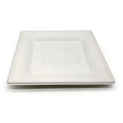 10 Inch Heavy Duty Heatable Eco Friendly Biodegradable Plates Bulk Disposable Plates Paper for Wedding