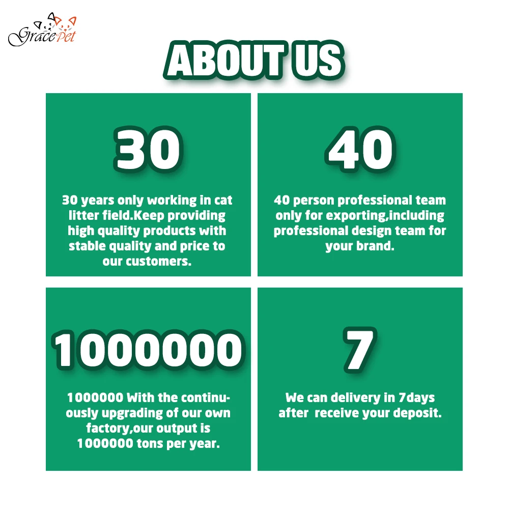 Cat Litter Wholesale Private Label America Litter Solid Clump Natural Active Carbon Sodium Bentonite Cat Litter