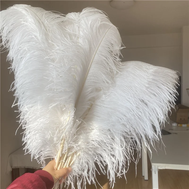 Wholesale 70-75cm Party Stage Feather Decoration White Ostrich Feathers