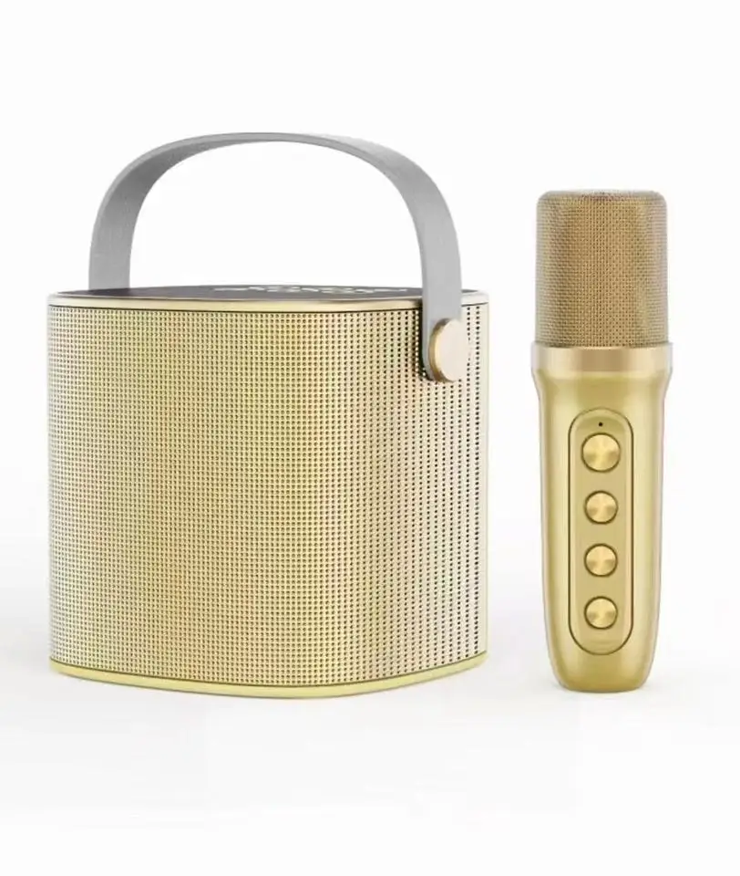 New Portable Wireless  Karaoke Microphone Speaker Bluetooth Music Sound Box Mini Subwoofer KTV Outdoor Speaker Box Family