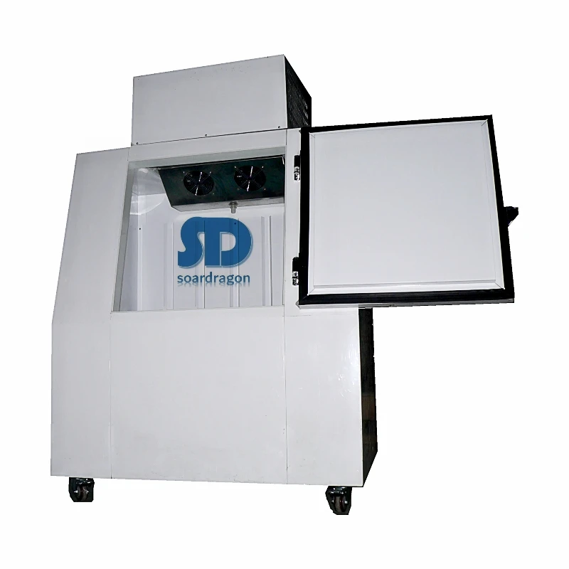 Soardragon Ice Storage Merchandiser Bags Ice Freezer Cabinet Single Glass Wheel / Stainless Steel Leg Freezers display Cooler