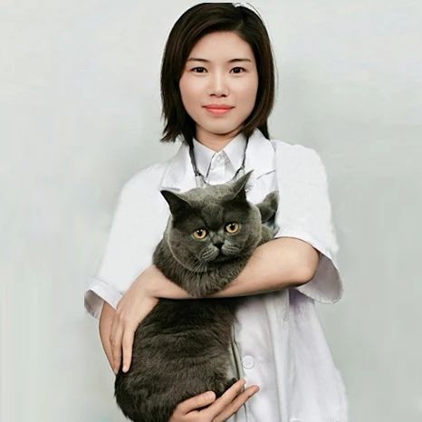 
Низкая цена Высокое качество 5,5 мл кошка fip gs441 fip gs-441 