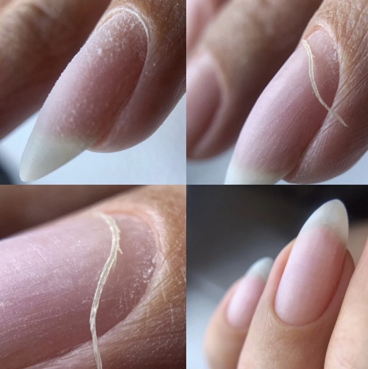 Best Manicure Nail Shear Cuticle Scissors Curved Cutting Surface Russian Manicure Scissors