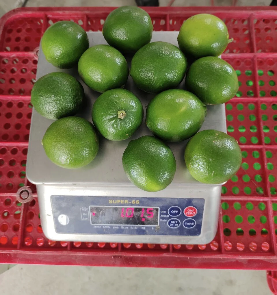 Лидер продаж из Вьетнама высокое качество оптовая продажа низкая цена минимальный заказ